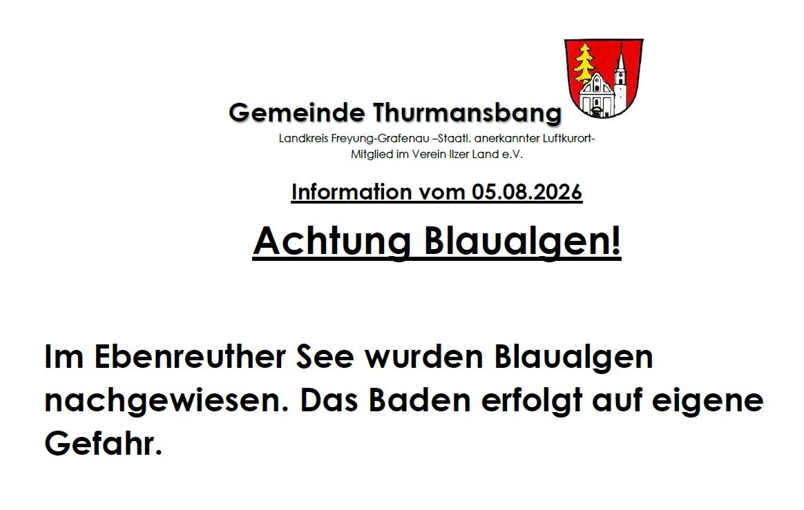 Blaualgen